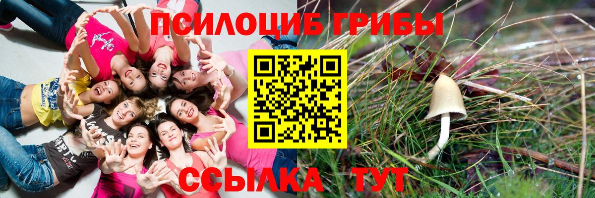 Галлюциногенные грибы ЛСД Кизляр