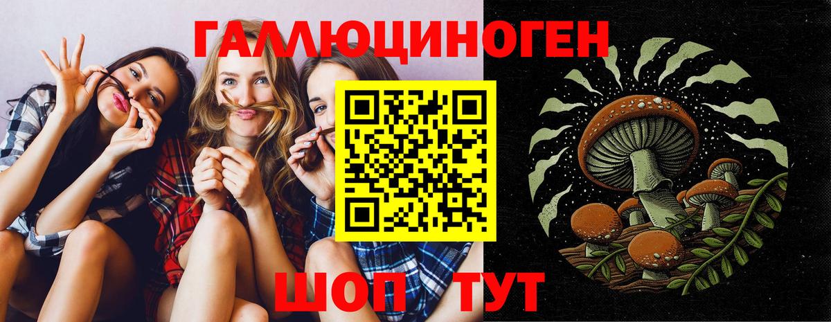 Псилоцибиновые грибы прущие грибы  Вход с VPN  Кизляр 