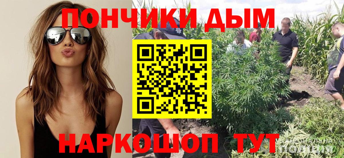 Канабис индика Кизляр